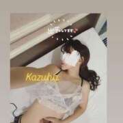 ヒメ日記 2025/05/25 15:51 投稿 かずは トマトなび