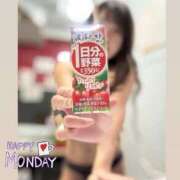 ヒメ日記 2025/05/26 08:30 投稿 かずは トマトなび