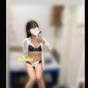 ヒメ日記 2025/05/27 15:21 投稿 かずは トマトなび