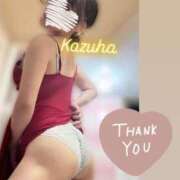 ヒメ日記 2025/06/02 16:46 投稿 かずは トマトなび