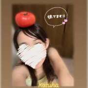 ヒメ日記 2025/06/04 07:30 投稿 かずは トマトなび