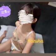 ヒメ日記 2025/06/04 12:33 投稿 かずは トマトなび