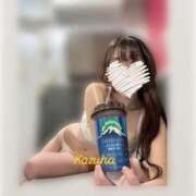 ヒメ日記 2025/06/04 18:15 投稿 かずは トマトなび