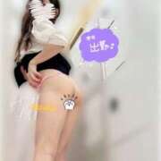 ヒメ日記 2025/06/15 13:13 投稿 かずは トマトなび