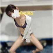 ヒメ日記 2025/06/22 20:52 投稿 かずは トマトなび