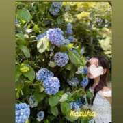 ヒメ日記 2025/06/23 02:00 投稿 かずは トマトなび