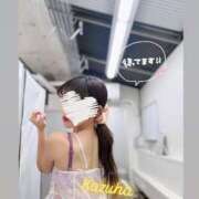 ヒメ日記 2025/06/23 17:22 投稿 かずは トマトなび