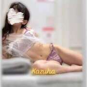 ヒメ日記 2025/06/24 10:15 投稿 かずは トマトなび