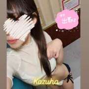 ヒメ日記 2025/06/24 16:20 投稿 かずは トマトなび