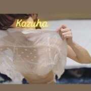 ヒメ日記 2025/06/27 12:57 投稿 かずは トマトなび