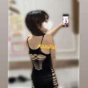 ヒメ日記 2025/06/28 11:45 投稿 かずは トマトなび