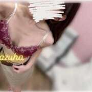 ヒメ日記 2025/06/29 12:57 投稿 かずは トマトなび