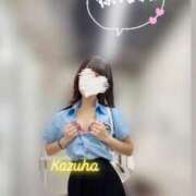 ヒメ日記 2025/06/30 17:39 投稿 かずは トマトなび