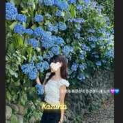 ヒメ日記 2025/07/02 01:30 投稿 かずは トマトなび