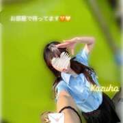 ヒメ日記 2025/07/08 09:00 投稿 かずは トマトなび