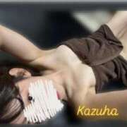 ヒメ日記 2025/07/16 09:15 投稿 かずは トマトなび