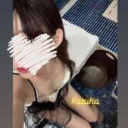 ヒメ日記 2025/07/16 13:22 投稿 かずは トマトなび