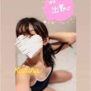 ヒメ日記 2025/07/21 15:37 投稿 かずは トマトなび