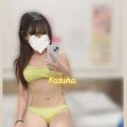 ヒメ日記 2025/07/30 01:15 投稿 かずは トマトなび