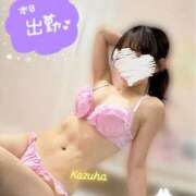 ヒメ日記 2025/07/30 12:48 投稿 かずは トマトなび