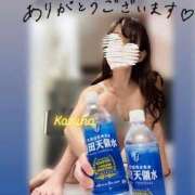 ヒメ日記 2025/08/01 09:15 投稿 かずは トマトなび