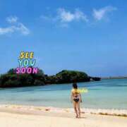 ヒメ日記 2025/08/13 10:00 投稿 かずは トマトなび