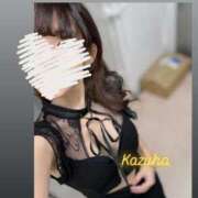 ヒメ日記 2025/08/19 00:15 投稿 かずは トマトなび