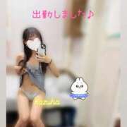 ヒメ日記 2025/08/19 18:35 投稿 かずは トマトなび