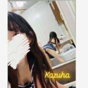 ヒメ日記 2025/08/20 11:00 投稿 かずは トマトなび