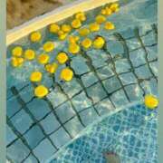 ヒメ日記 2025/08/26 14:16 投稿 かずは トマトなび