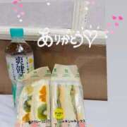 ヒメ日記 2025/08/29 02:42 投稿 かずは トマトなび