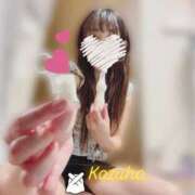 ヒメ日記 2025/08/29 10:30 投稿 かずは トマトなび