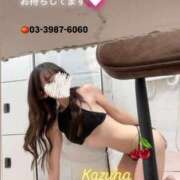 ヒメ日記 2025/08/30 12:15 投稿 かずは トマトなび