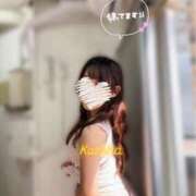 ヒメ日記 2025/09/01 15:30 投稿 かずは トマトなび