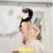 ヒメ日記 2025/09/03 23:01 投稿 かずは トマトなび