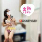 ヒメ日記 2025/09/13 07:30 投稿 かずは トマトなび