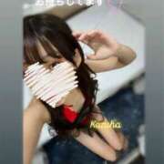 ヒメ日記 2025/09/27 19:33 投稿 かずは トマトなび