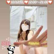 ヒメ日記 2025/10/12 10:15 投稿 かずは トマトなび