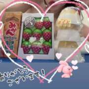 ヒメ日記 2025/10/23 21:02 投稿 かずは トマトなび