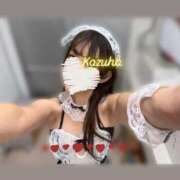 ヒメ日記 2025/10/27 09:00 投稿 かずは トマトなび