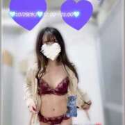 ヒメ日記 2025/10/29 09:30 投稿 かずは トマトなび