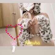 ヒメ日記 2025/10/29 16:41 投稿 かずは トマトなび