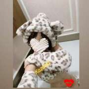 ヒメ日記 2025/10/30 19:05 投稿 かずは トマトなび