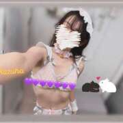 ヒメ日記 2025/11/01 12:02 投稿 かずは トマトなび