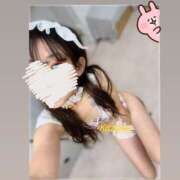 ヒメ日記 2025/11/01 18:13 投稿 かずは トマトなび