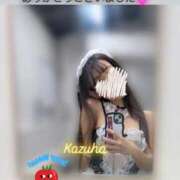 ヒメ日記 2025/11/05 01:33 投稿 かずは トマトなび