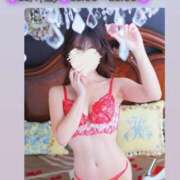 ヒメ日記 2025/11/07 10:45 投稿 かずは トマトなび