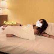 ヒメ日記 2025/11/12 00:30 投稿 かずは トマトなび