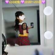 ヒメ日記 2025/11/14 01:33 投稿 かずは トマトなび