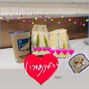 ヒメ日記 2025/11/25 22:02 投稿 かずは トマトなび